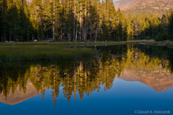 Yosemite National Park, California