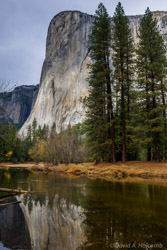 El Capitan at Cathedral Beach