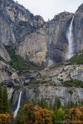 Yosemite Falls growing