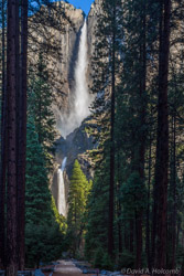 Yosemite Falls at Full Flow